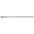 Acorn Mfg Common Nail, 2 in L, 6D CD6L